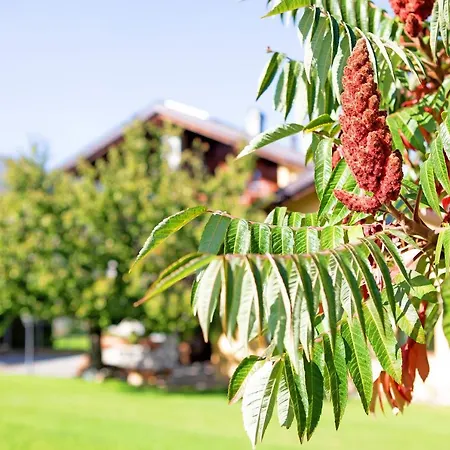 La Vigne De Papagran App6 Apartment Aosta